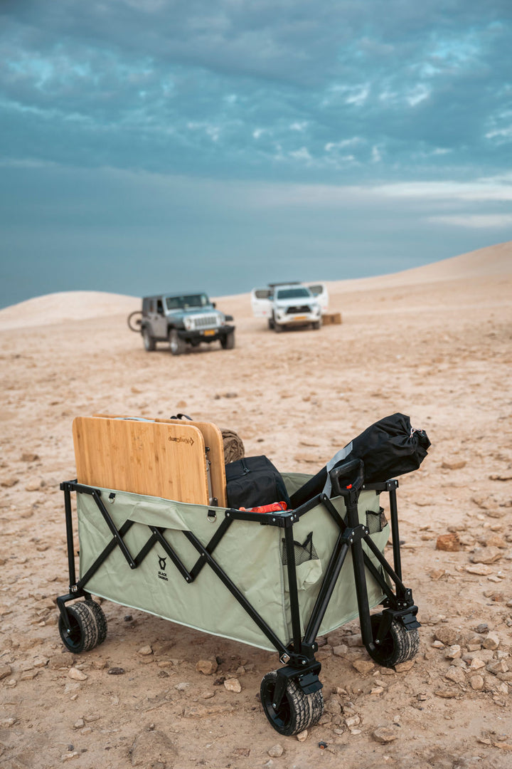 Premium Folding Wagon